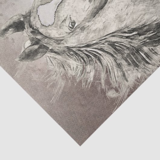 Papier Mousseline Dessin du Cheval Saddlebred américain (Détail)