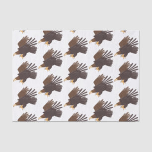 Papier Mousseline dessin humoristique d'aigle royal