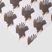 Papier Mousseline dessin humoristique d'aigle royal (Détail)