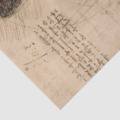 Papier Mousseline Dessin rétro Fox Wildlife (Détail)