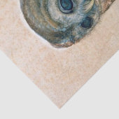 PAPIER MOUSSELINE DESSINS ANIMAUX DE RENAISSANCE /LA BOULE (Détail)