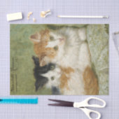 Papier Mousseline Deux chatons assis sur un coussin par Ronner-Knip (Artisanat)