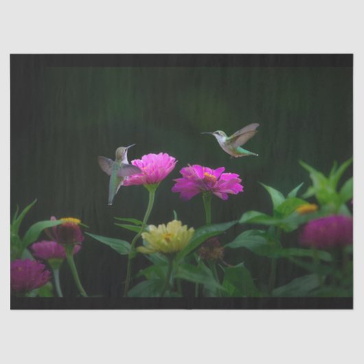 Papier Mousseline Deux Humminbirds, papier de tissus (Recto)