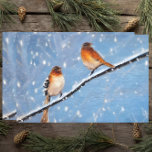 Papier Mousseline Deux Oiseaux En Branche À L'Occasion D'Une Journée<br><div class="desc">Conception saisonnière de papier tissulaire comportant deux oiseaux sur une branche lors d'une journée d'hiver enneigée.</div>