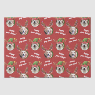 Papier Mousseline Deux rennes photo de chien Antler Joyeux Noël Roug