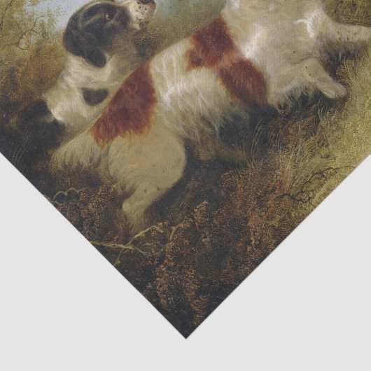 Papier Mousseline Deux Terriers par Edward Armfield (Détail)