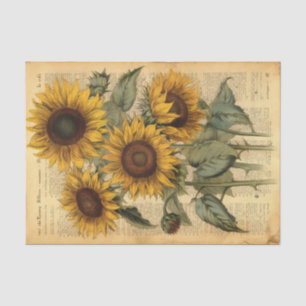 Papier Mousseline D'immenses tournesols Vintages sur parchemin