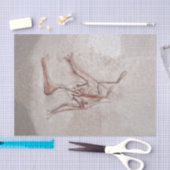 Papier Mousseline Dinosaur Bones Ancien Sketch préhistorique (Artisanat)