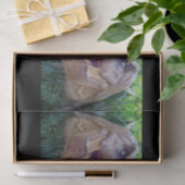 Papier Mousseline Dinosaures en papier de tissu décoratif Thomas (Cadeau)