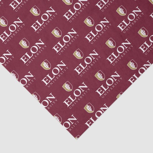 Papier Mousseline Diplôme de l'Université Elon (Détail)