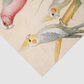 Papier Mousseline Divers perroquets, Découpage (Détail)