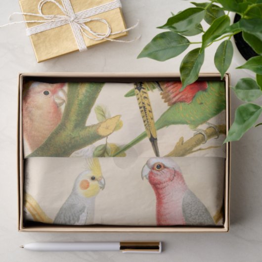 Papier Mousseline Divers perroquets, Découpage (Cadeau)