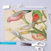 Papier Mousseline Divers perroquets, Découpage (Artisanat)