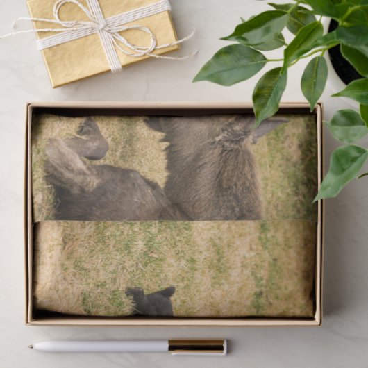 Papier Mousseline Diversité (Cadeau)