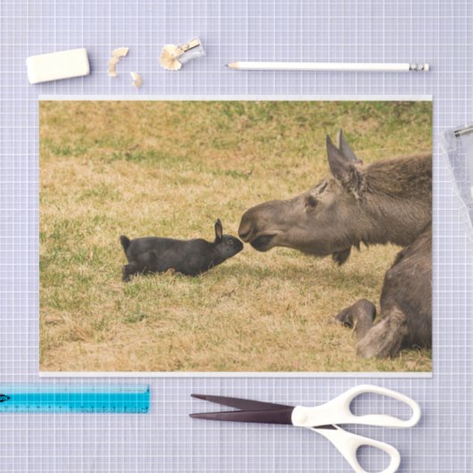 Papier Mousseline Diversité (Artisanat)