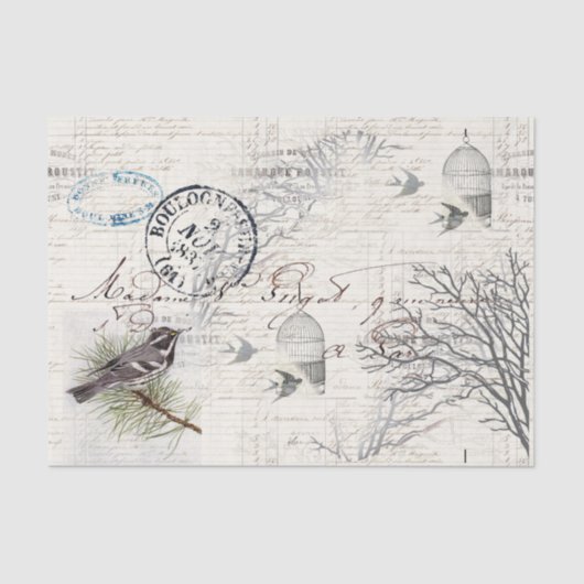 Papier Mousseline Document de fond sur les oiseaux et les branches V (Recto)