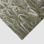 Papier Mousseline Document de synthèse sur les champs de blé (Détail)