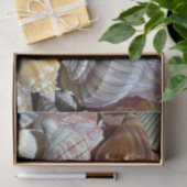 Papier Mousseline Document sur le tissu de la coque de mer - HAMbyWG (Cadeau)