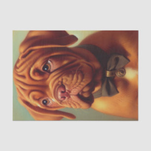 Papier Mousseline Dogue vintage de Bordeaux Peinture