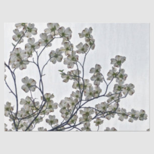 Papier Mousseline Dogwood à fleurs blanches