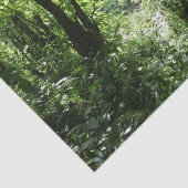 Papier Mousseline Dominicain Forêt de pluie II Vert tropical (Détail)