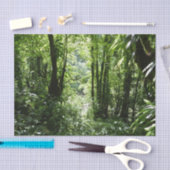 Papier Mousseline Dominicain Forêt de pluie II Vert tropical (Artisanat)