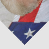 Papier Mousseline Donald Trump Président des États-Unis Maison Blanc (Détail)