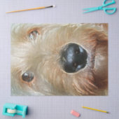 Papier Mousseline Doodle d'or avec grand nez noir roux Tissu (Artisanat)