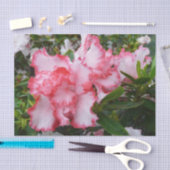 Papier Mousseline Double rouge et blanc Azaleas printemps floral (Artisanat)