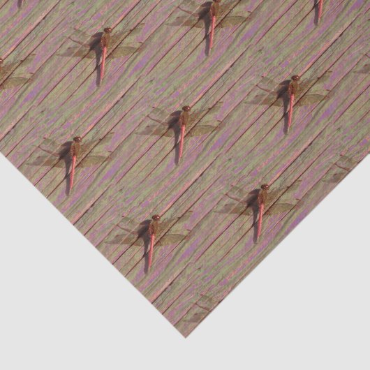 Papier Mousseline Dragonfly (Détail)