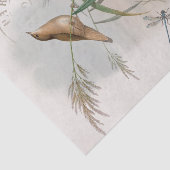 Papier Mousseline Dragonfly de nid d'oiseau Wren French Postmark Dec (Détail)