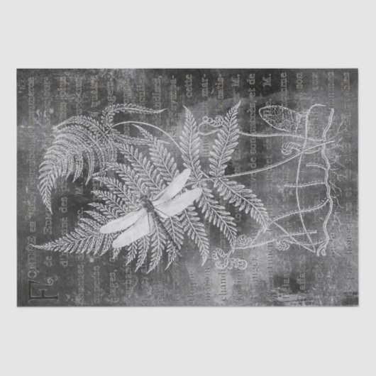 Papier Mousseline Dragonfly Fern French Grunge Chalkboard Decoupage (Recto)