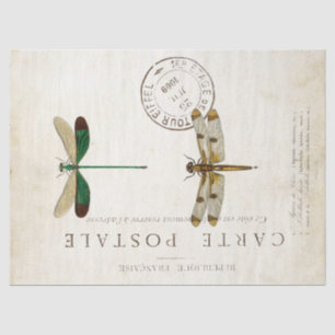 Papier Mousseline Dragonfly Vintage Carte Postale Découpage