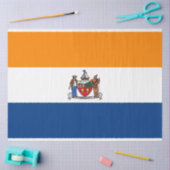 Papier Mousseline Drapeau d'Albany (New York) (Artisanat)