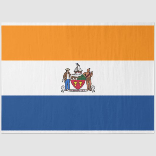 Papier Mousseline Drapeau d'Albany (New York) (Recto)