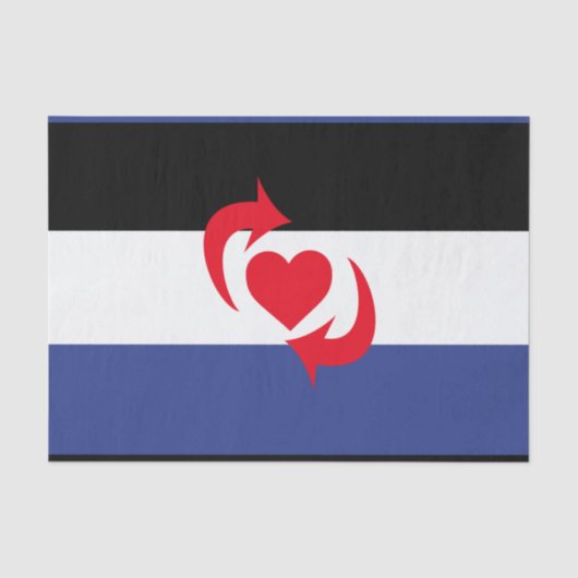 Papier Mousseline Drapeau de la fierté Switch (Recto)