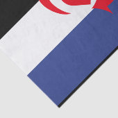 Papier Mousseline Drapeau de la fierté Switch (Détail)