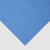 Papier Mousseline Drapeau de la ville de Boston (Massachusetts) (Détail)