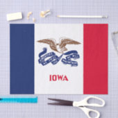 Papier Mousseline Drapeau de l'État de l'Iowa (Artisanat)