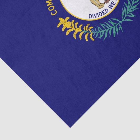 Papier Mousseline Drapeau de l'État du Kentucky (Détail)
