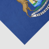 Papier Mousseline Drapeau de l'État du Michigan (Détail)