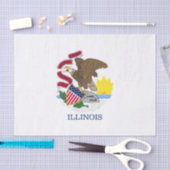 Papier Mousseline Drapeau de l'Illinois (Artisanat)