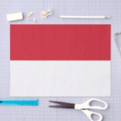 Papier Mousseline Drapeau de Monaco (Artisanat)