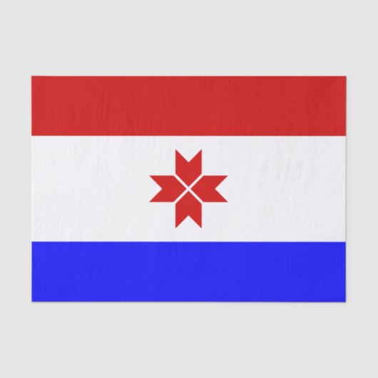 Papier Mousseline Drapeau de Mordovie (Recto)