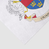 Papier Mousseline Drapeau de Saint-Barthélemy (Détail)