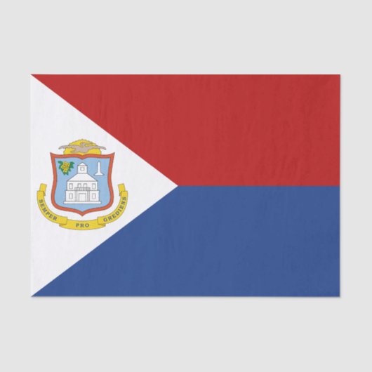 Papier Mousseline Drapeau de Saint-Martin (Recto)