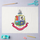 Papier Mousseline Drapeau de Stamford (Connecticut) (Artisanat)