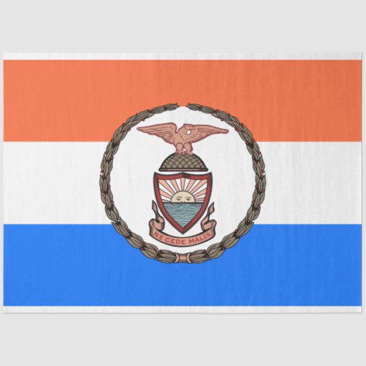 Papier Mousseline Drapeau du Bronx (arrondissement de New York) (Recto)