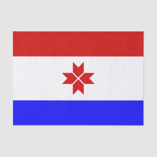Papier Mousseline Drapeau Mordovia (Recto)