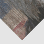 Papier Mousseline Drapeau Patiné américain de l'aigle à tête plate (Détail)